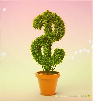 江苏睢宁探索高标准农田“丰收密码”：为庄稼后期管护上保险